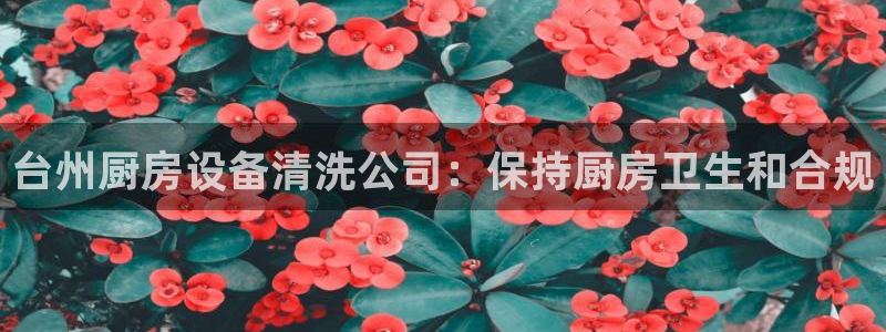 尊龙凯时平台正规吗：台州厨房设备清洗公司：保持厨房卫生和合规