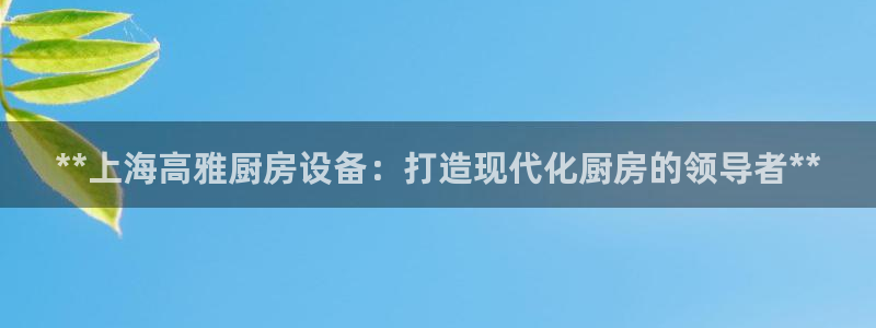 尊龙凯时ag旗舰厅官方网站：**上海高雅厨房设备：打造现代化