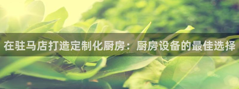 尊龙手机版下载：在驻马店打造定制化厨房：厨房设备的最佳选择