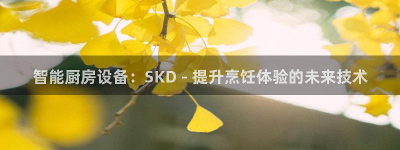 尊龙凯时是直营吗：智能厨房设备：SKD - 提升烹饪体验的未