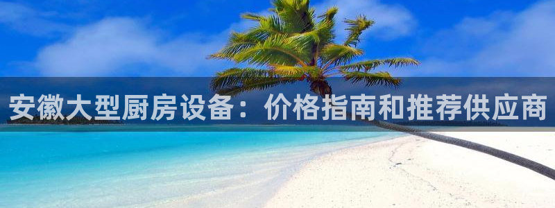 尊龙这个平台怎么样：安徽大型厨房设备：价格指南和推荐供应商