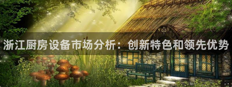 ag尊龙凯时集团：浙江厨房设备市场分析：创新特色和领先优势