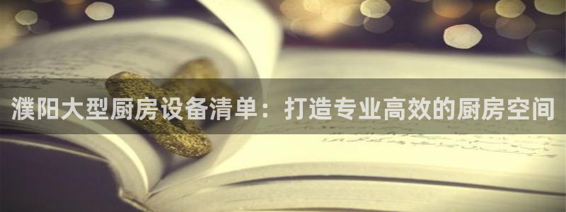 尊龙凯时人生就是博游戏网站：濮阳大型厨房设备清单：打造专业高