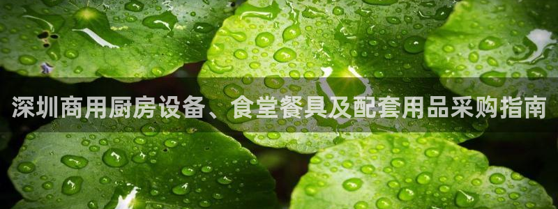 凯时国际app登录：深圳