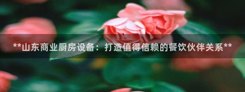 kb88凯时会员登录：**山东商业厨房设备：打造值得信赖的餐