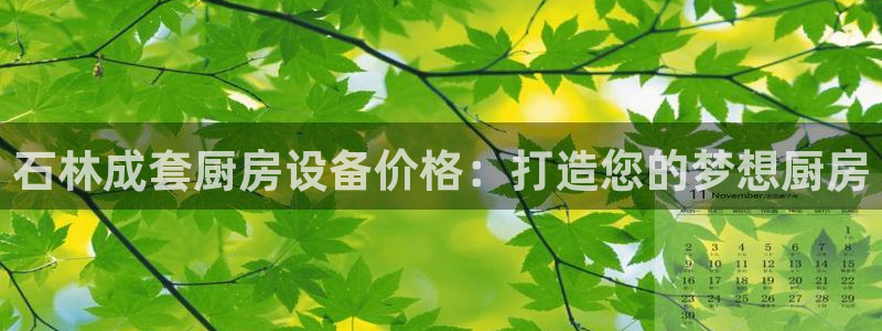 KB88凯时官网登录：石林成套厨房设备价格：打造您的梦想厨房